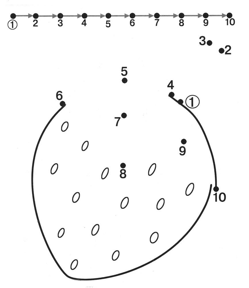 Dot To Dot Printables Free |  Free Dot To Dot Worksheets