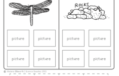 Freebie! No-Prep Kindergarten Science Doodle Printables