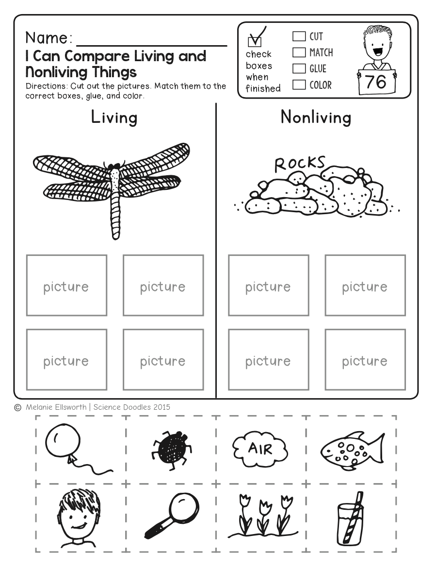 Freebie! No-Prep Kindergarten Science Doodle Printables