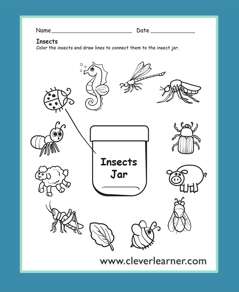 Insects Preschool Worksheets | Insects Preschool, Preschool