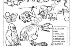 Jungle Animals Worksheet - Esl Worksheetineta