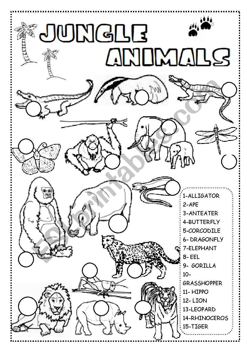 Jungle Animals Worksheet - Esl Worksheetineta