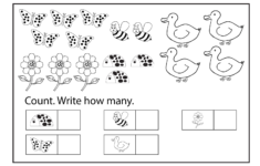 New Printable Worksheets For 6 Years Old In 2020 | Free