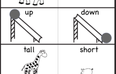 Opposites – 2 Worksheets | Opposites Preschool, Preschool
