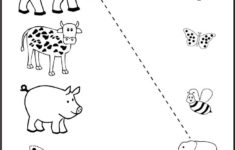 Preschool Matching Printable Worksheet | Fun Worksheets For