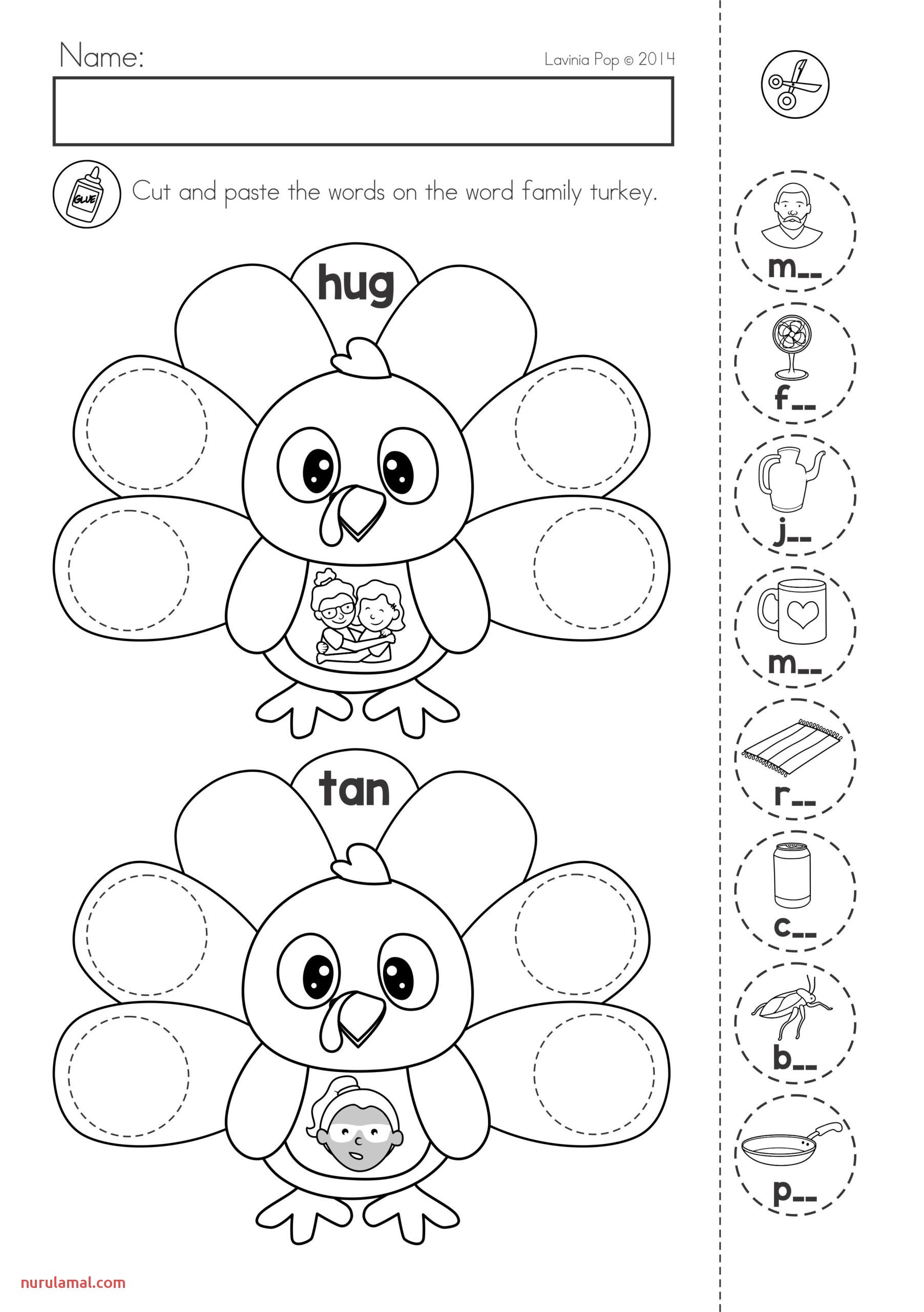 Preschool Worksheet About Brain Printable Worksheets And