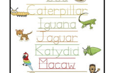 Rain+Trace+The+Words. 1,236×1,600 Pixels | Rainforest