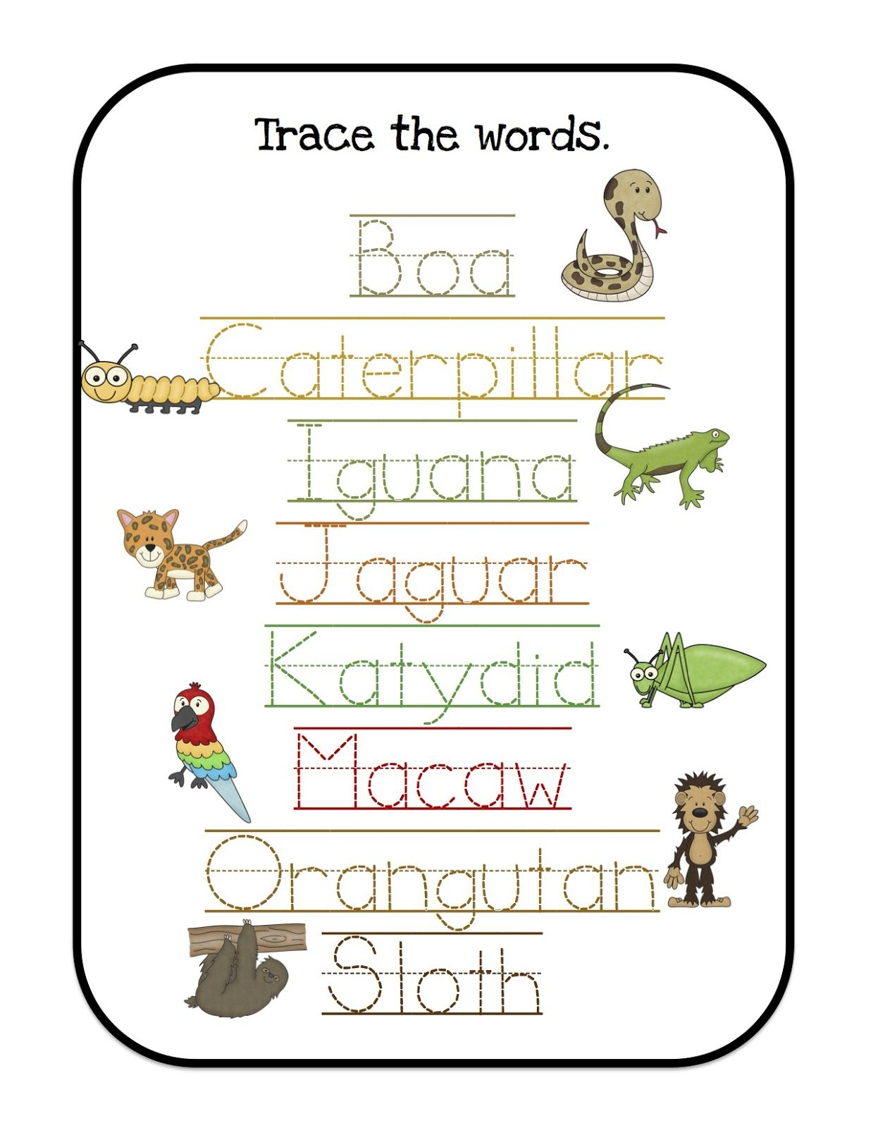 Preschool Jungle Worksheets | Preschool Worksheets