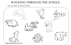 Walking Through The Jungle | Jungle Activities, Animal